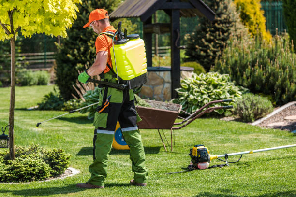 Best Outdoor Pest Control  in Fennville, MI